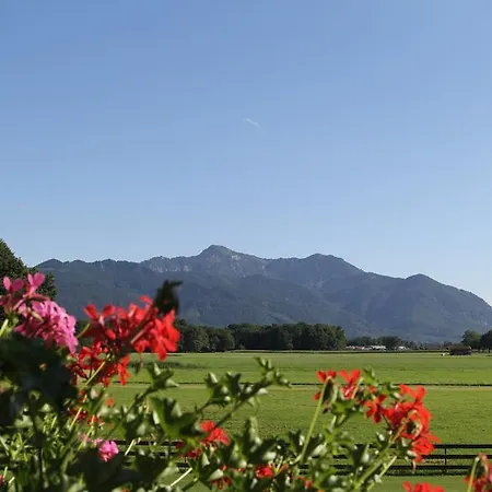 Guest house Haus Waldesruh